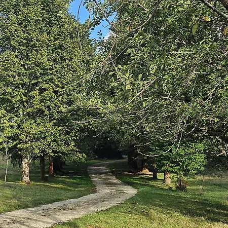 8 Personnes Avec Cheminee Et A Biron - Fr-1-616-481 Holiday home